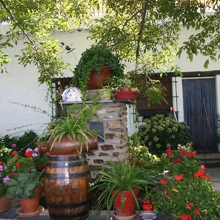 Apartamentos Y Casas Rurales Las Terrazas De La Alpujarra 부비온 외부 사진