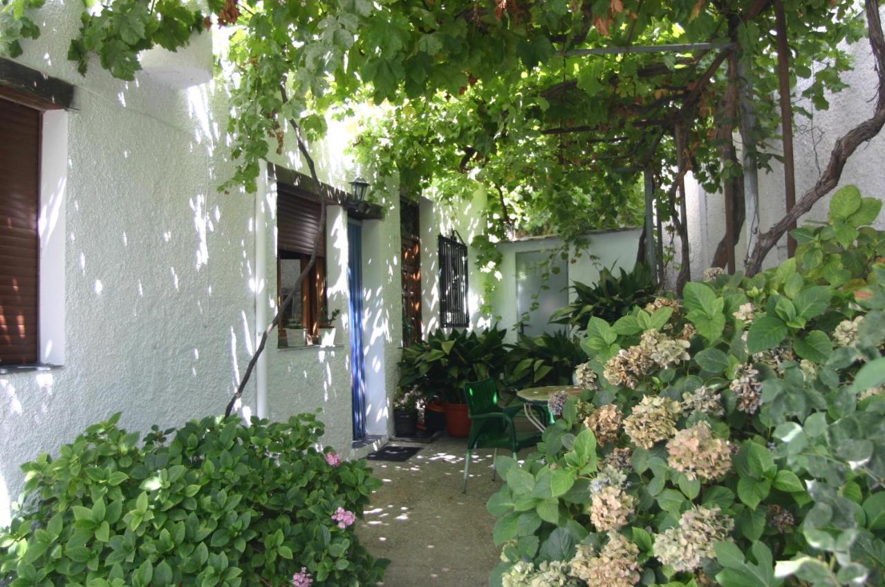 Apartamentos Y Casas Rurales Las Terrazas De La Alpujarra 부비온 외부 사진